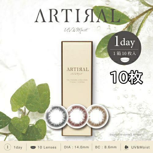 �A�[�e�B���� [�u���E�� 10������]